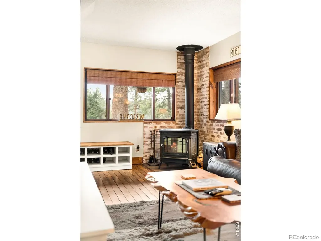 257 Lo Meadow Lane Bailey CO 80421
