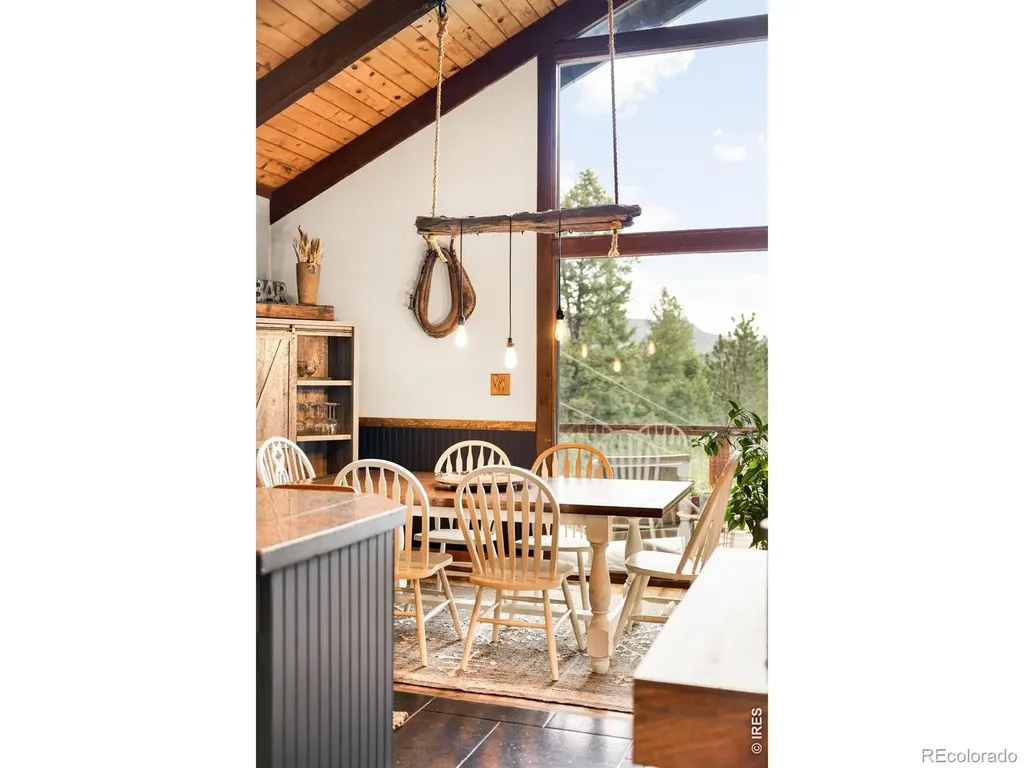 257 Lo Meadow Lane Bailey CO 80421