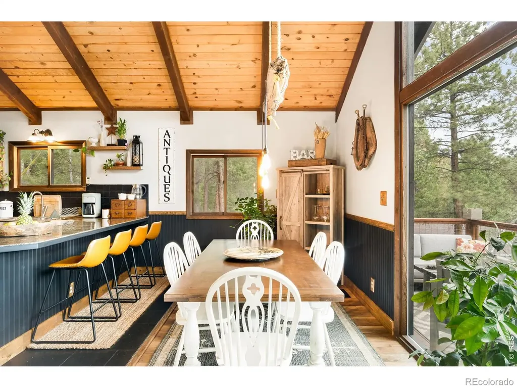 257 Lo Meadow Lane Bailey CO 80421