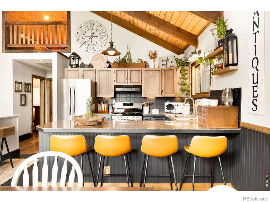 257 Lo Meadow Lane Bailey CO 80421