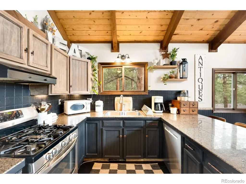 257 Lo Meadow Lane Bailey CO 80421