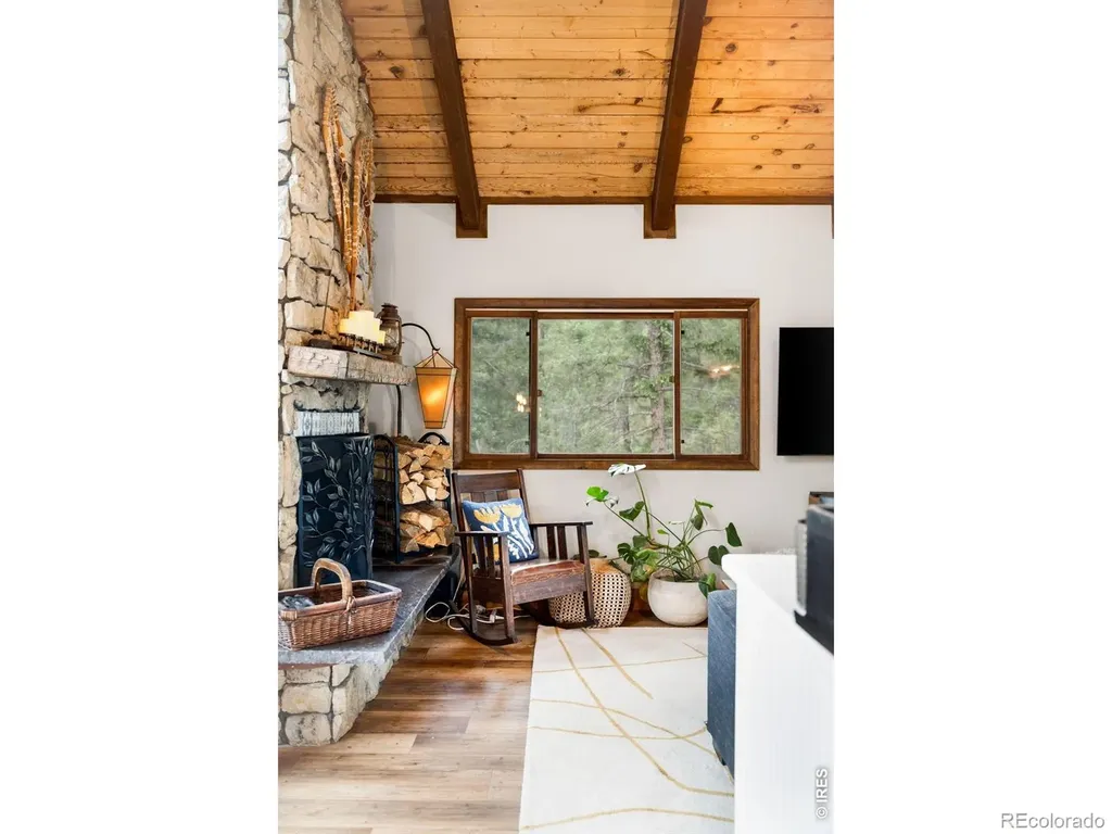 257 Lo Meadow Lane Bailey CO 80421