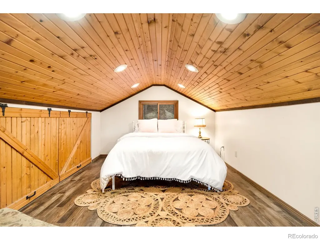 257 Lo Meadow Lane Bailey CO 80421