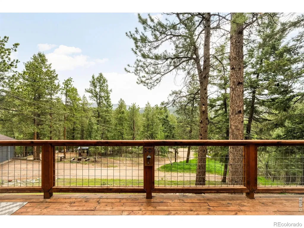 257 Lo Meadow Lane Bailey CO 80421