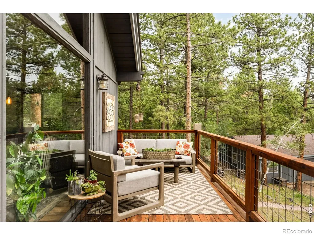 257 Lo Meadow Lane Bailey CO 80421