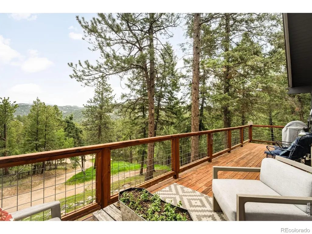 257 Lo Meadow Lane Bailey CO 80421