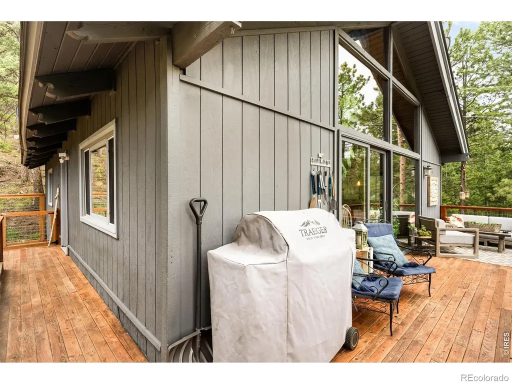 257 Lo Meadow Lane Bailey CO 80421