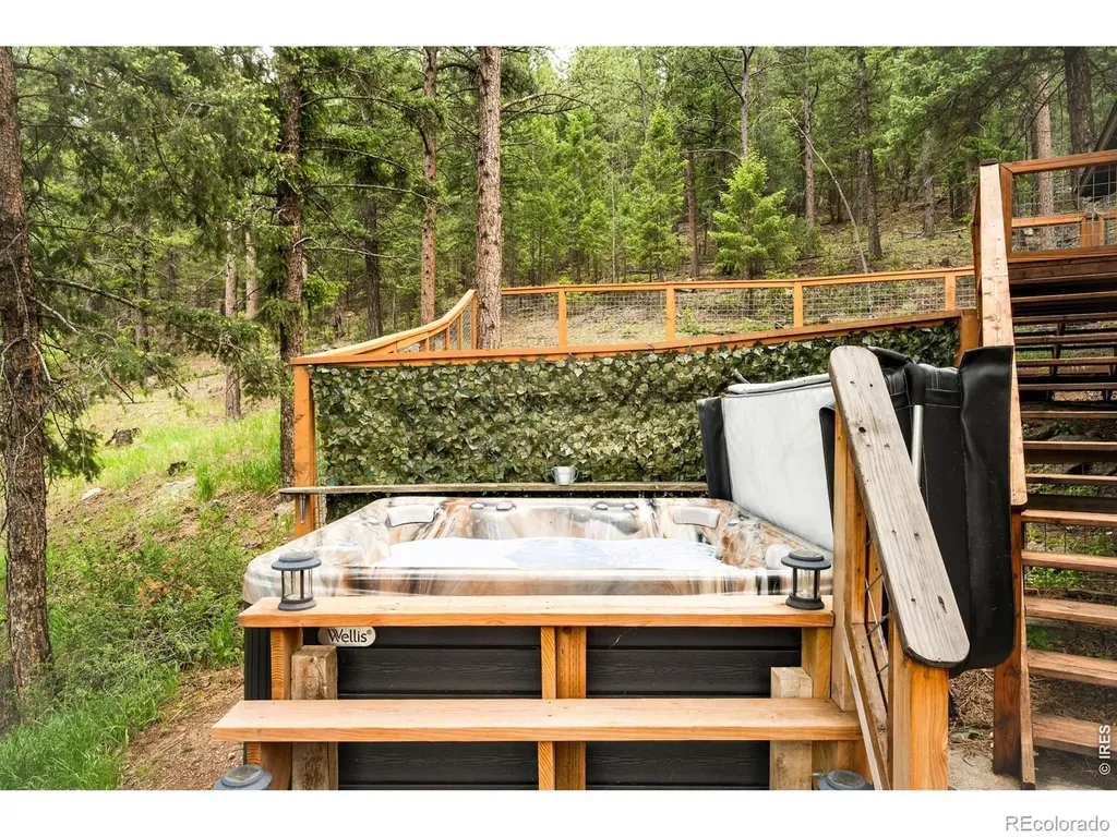 257 Lo Meadow Lane Bailey CO 80421