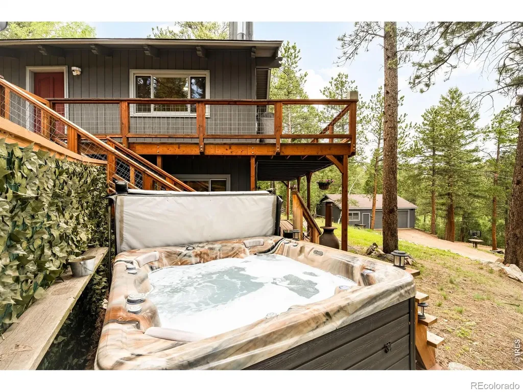 257 Lo Meadow Lane Bailey CO 80421