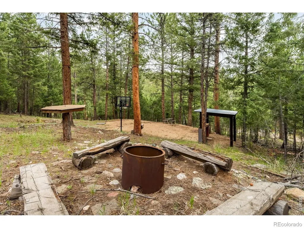 257 Lo Meadow Lane Bailey CO 80421