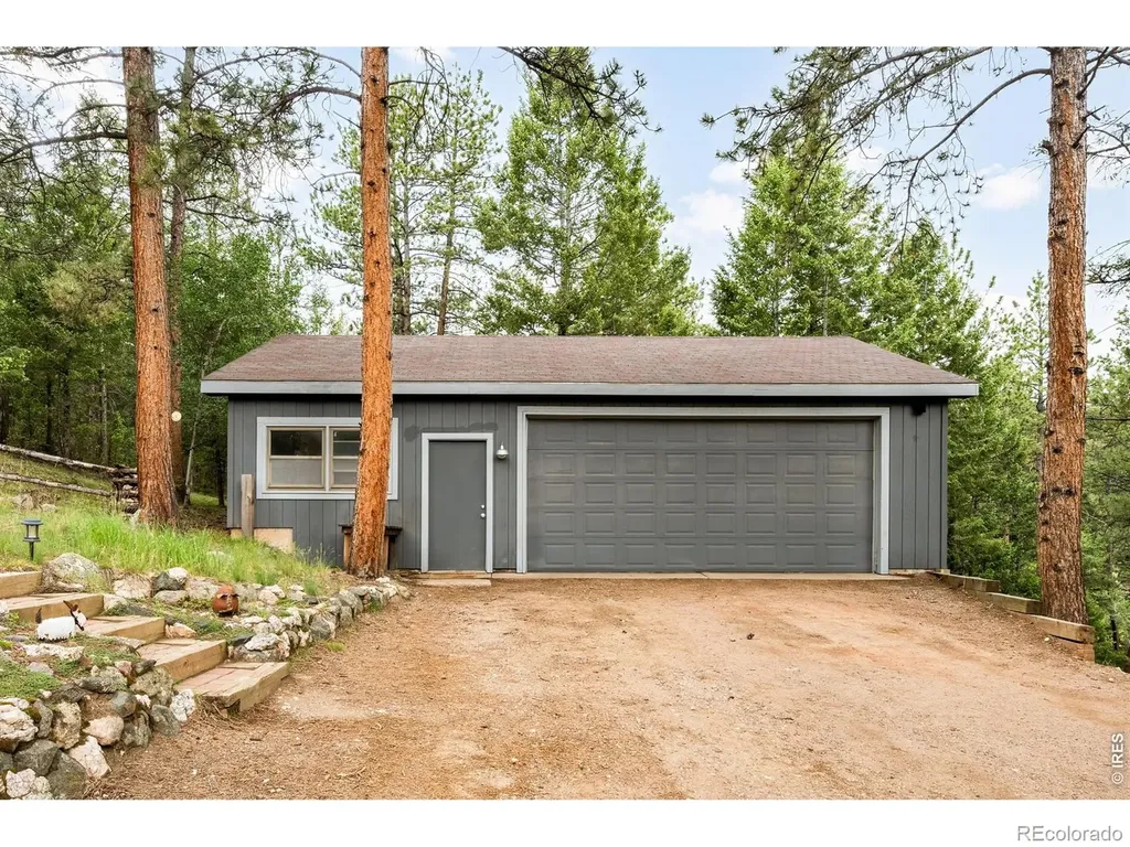 257 Lo Meadow Lane Bailey CO 80421