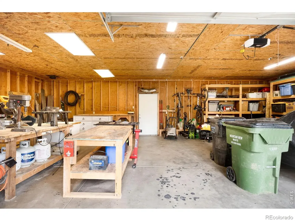 257 Lo Meadow Lane Bailey CO 80421
