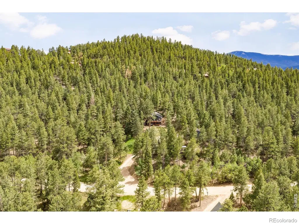 257 Lo Meadow Lane Bailey CO 80421