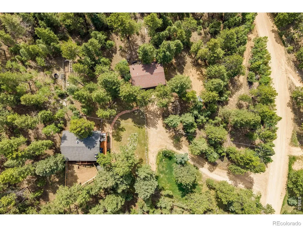 257 Lo Meadow Lane Bailey CO 80421