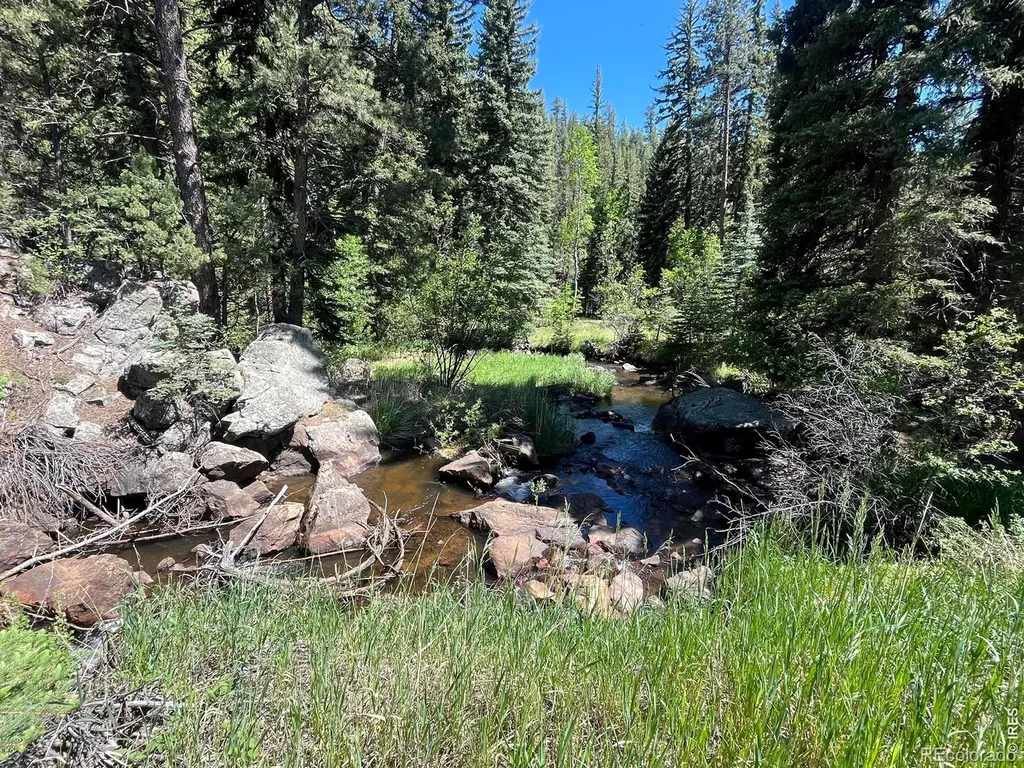 257 Lo Meadow Lane Bailey CO 80421