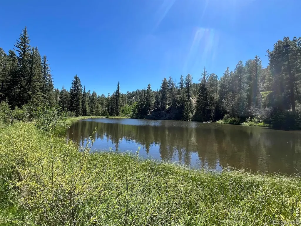 257 Lo Meadow Lane Bailey CO 80421
