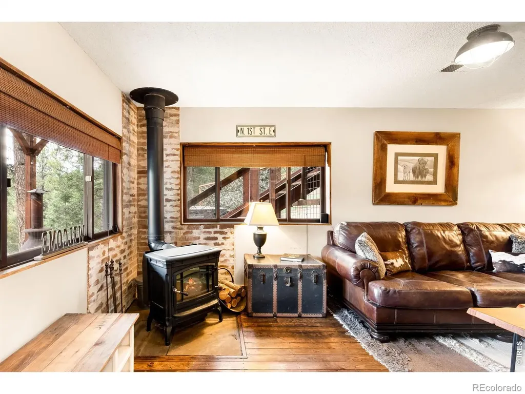 257 Lo Meadow Lane Bailey CO 80421