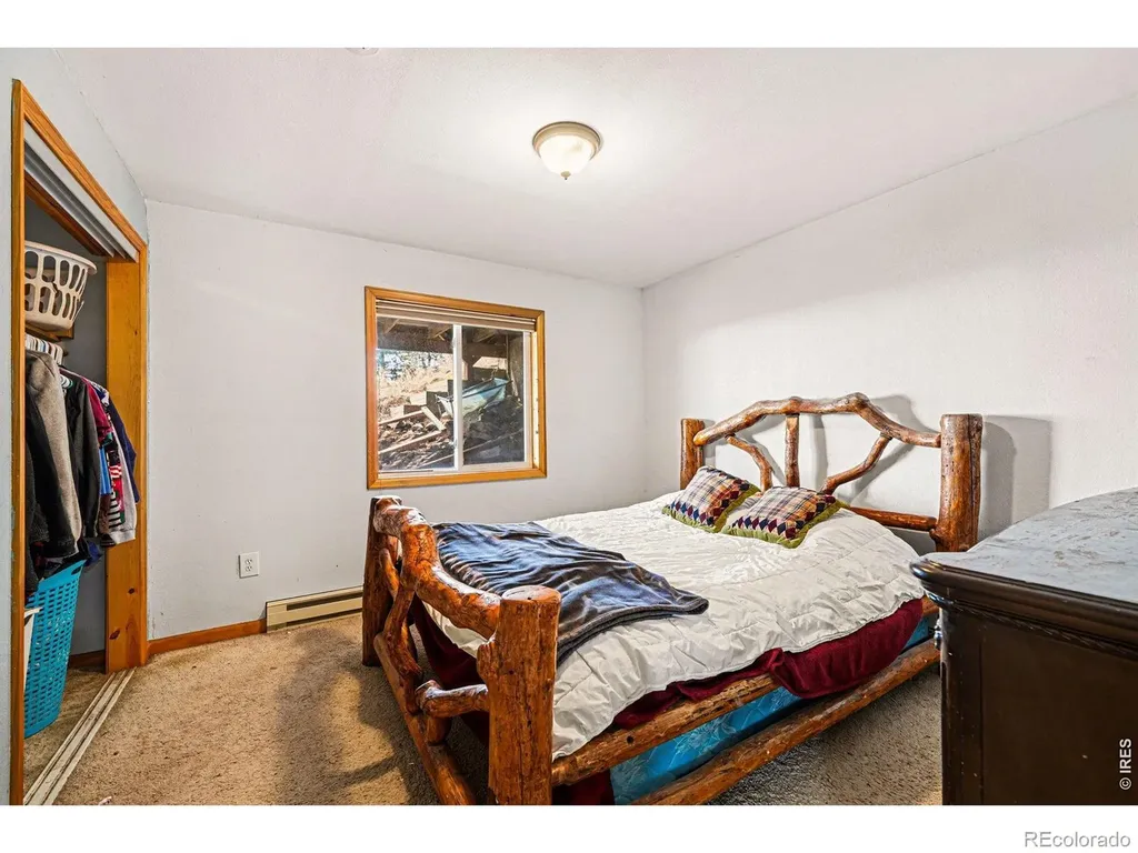 319 Springmeadow Way Red Feather Lakes CO 80545