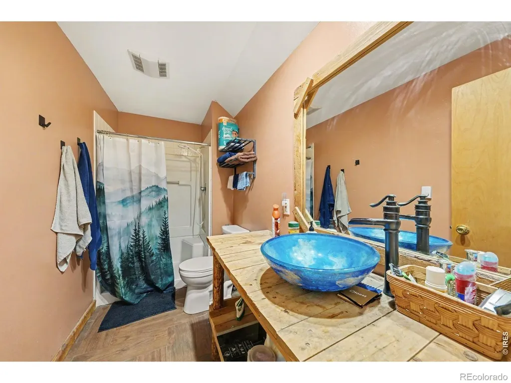 319 Springmeadow Way Red Feather Lakes CO 80545