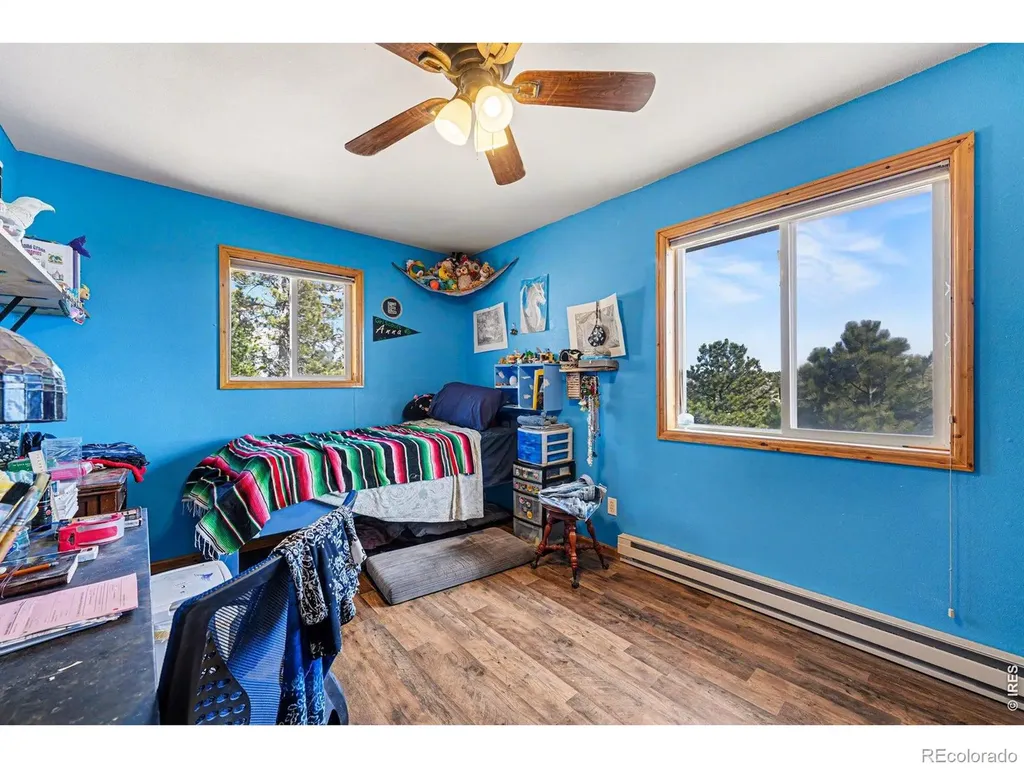 319 Springmeadow Way Red Feather Lakes CO 80545
