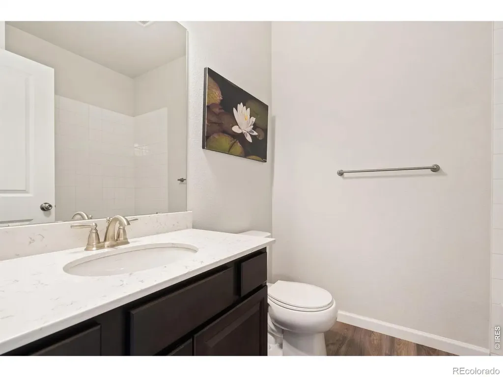 4419 Caramel Street Timnath CO 80547