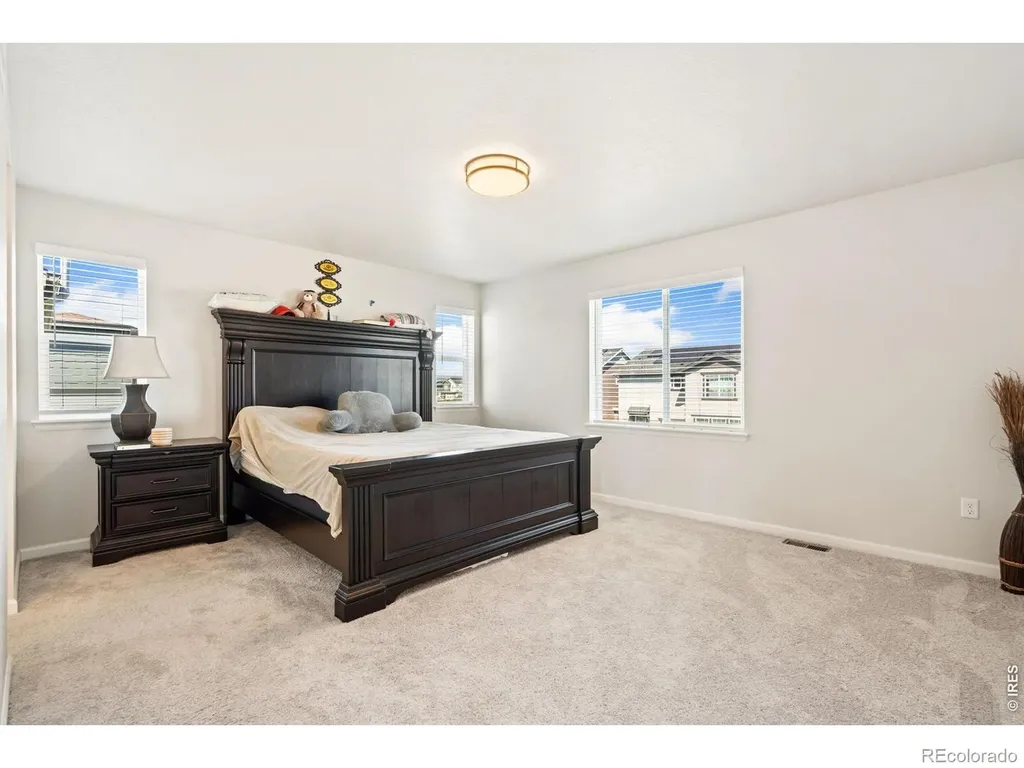 4419 Caramel Street Timnath CO 80547