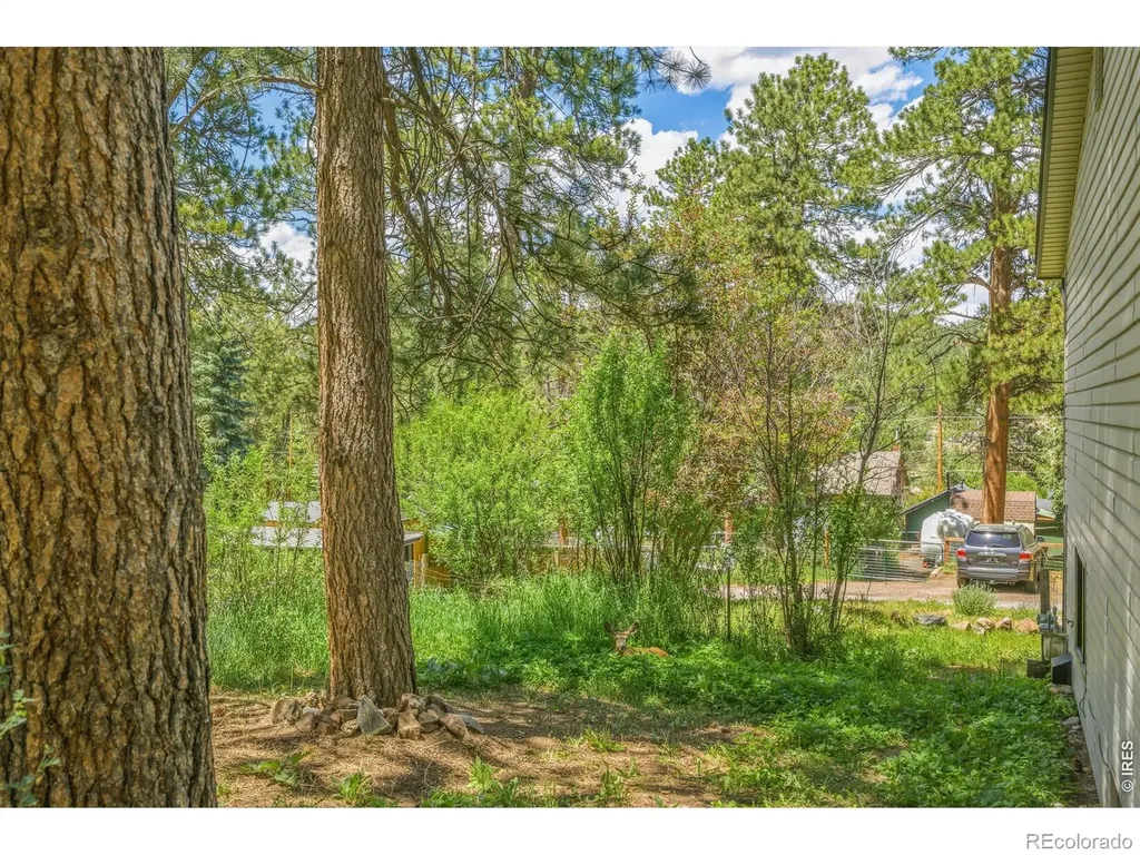 26360 Mowbray Court Kittredge CO 80457