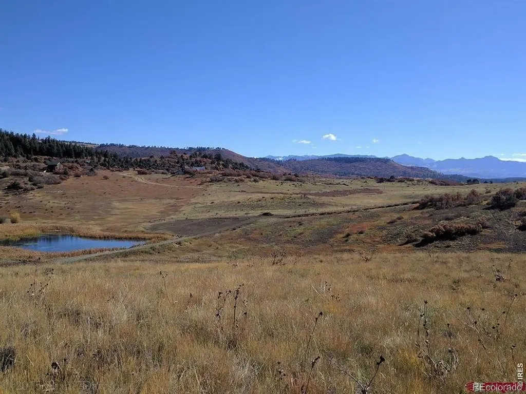 919 Roush Drive Pagosa Springs CO 81147
