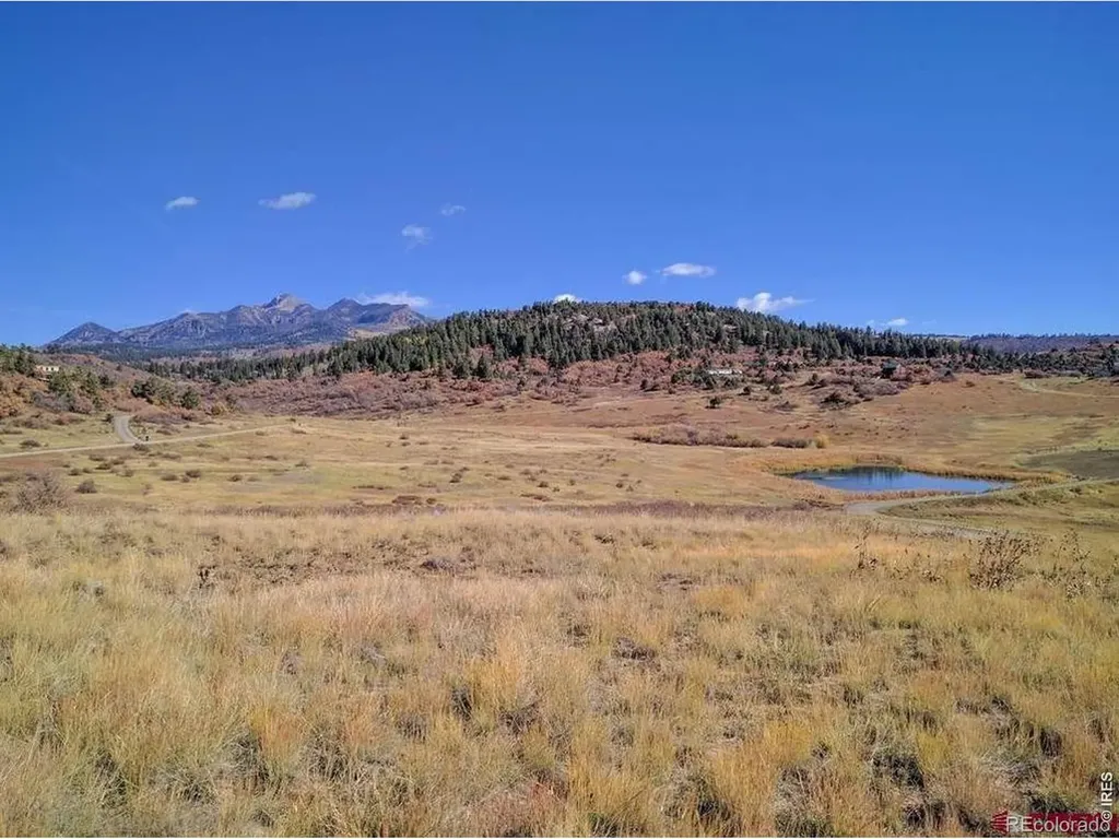 919 Roush Drive Pagosa Springs CO 81147
