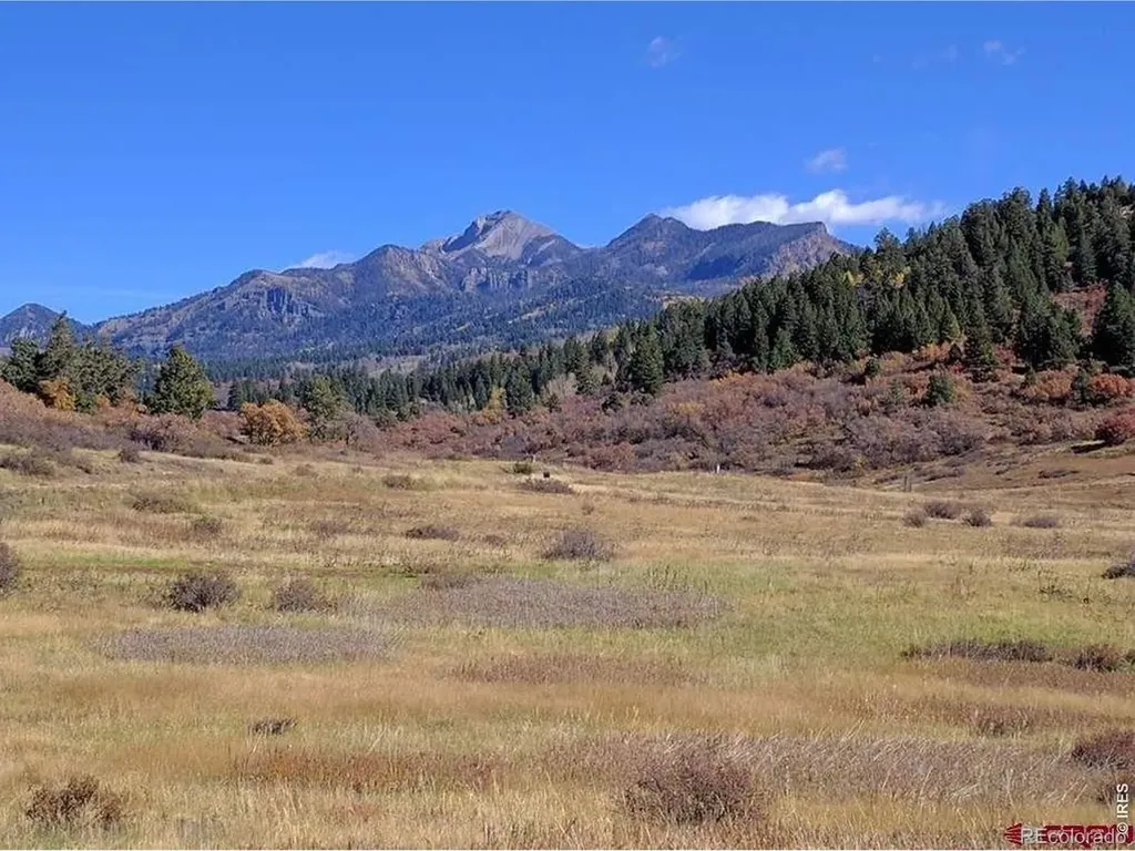 919 Roush Drive Pagosa Springs CO 81147