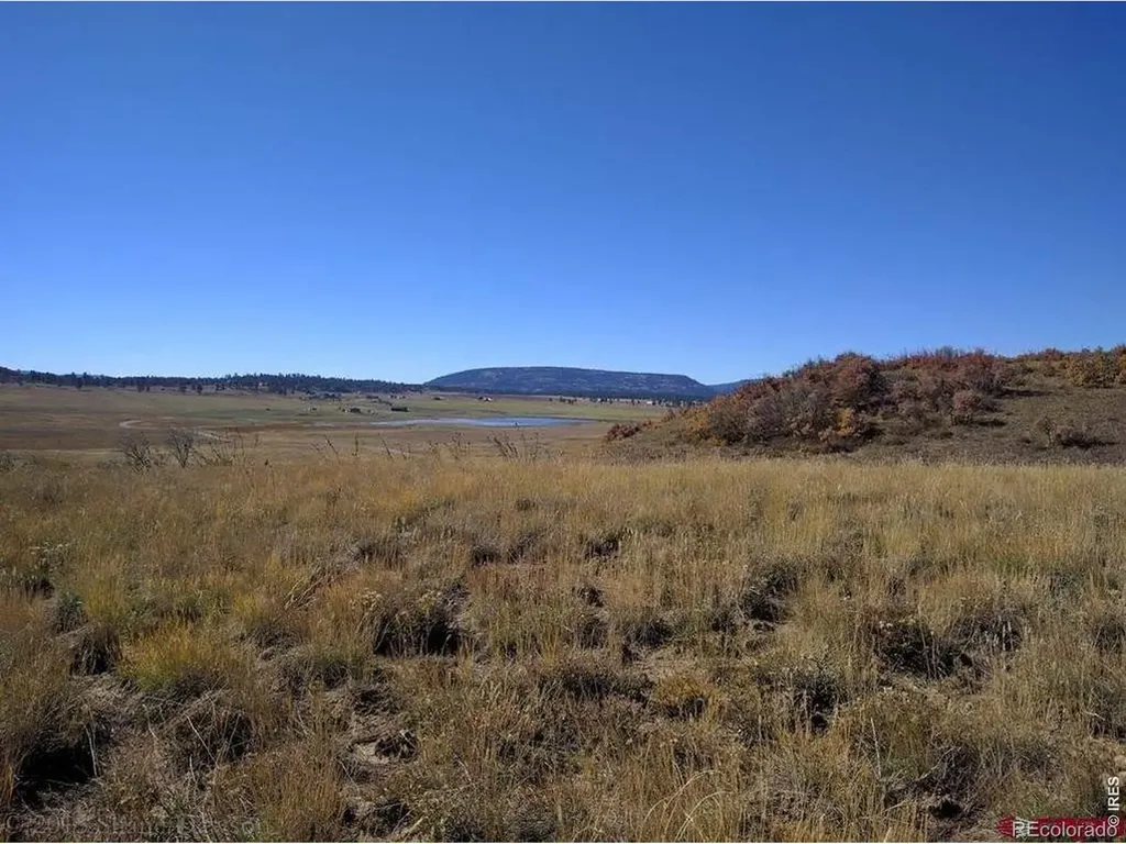 919 Roush Drive Pagosa Springs CO 81147