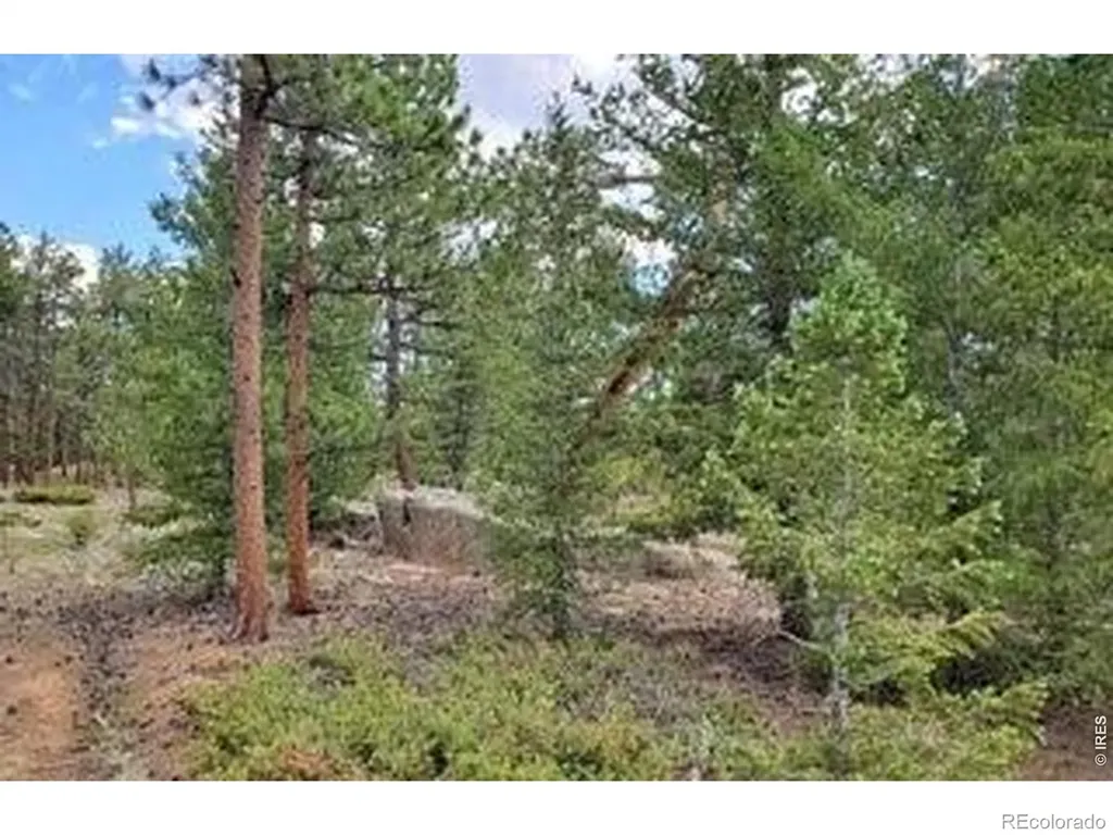 3031 Lake Arapahoe Court Red Feather Lakes CO 80545