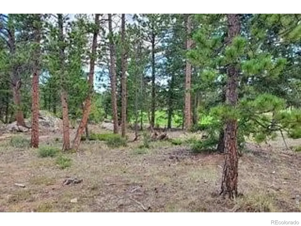 3031 Lake Arapahoe Court Red Feather Lakes CO 80545