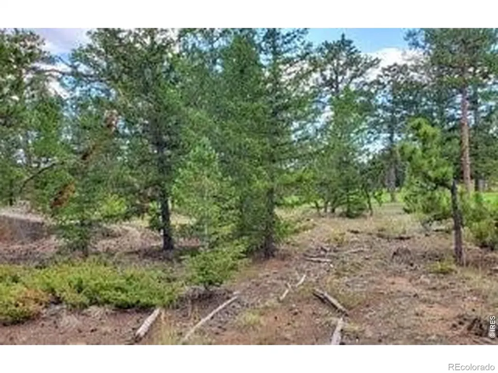 3031 Lake Arapahoe Court Red Feather Lakes CO 80545