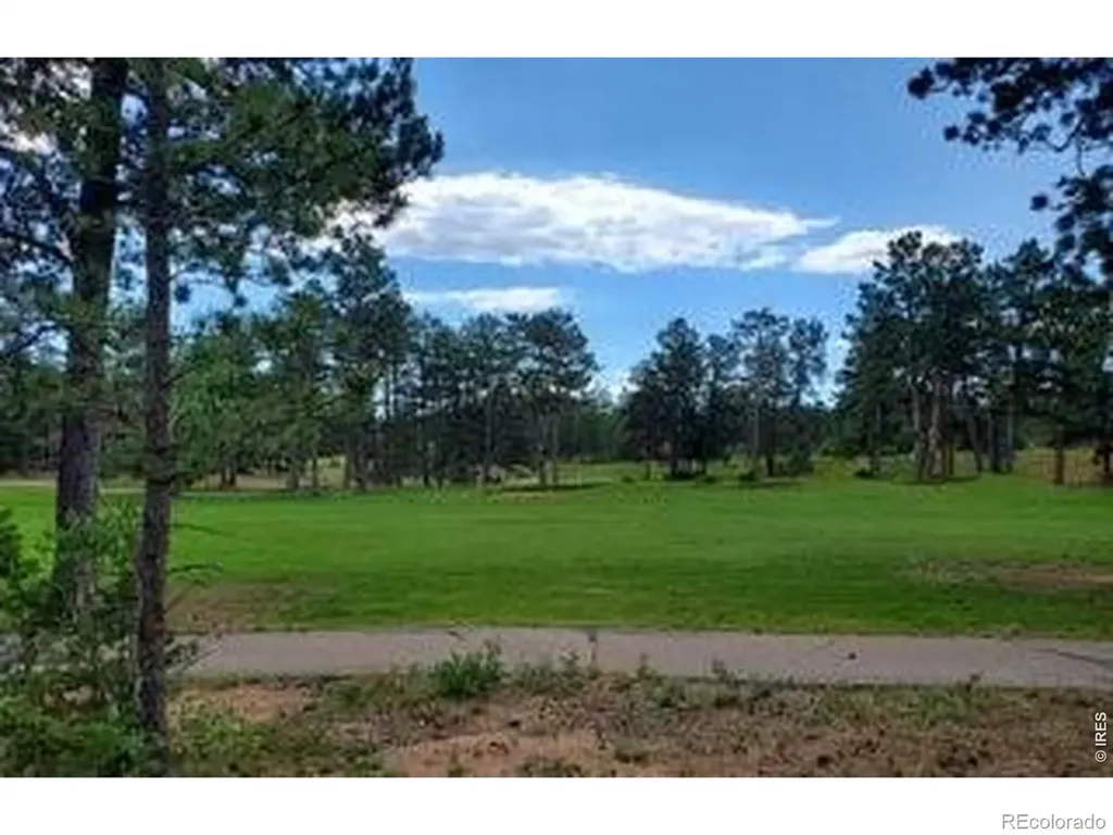 3031 Lake Arapahoe Court Red Feather Lakes CO 80545