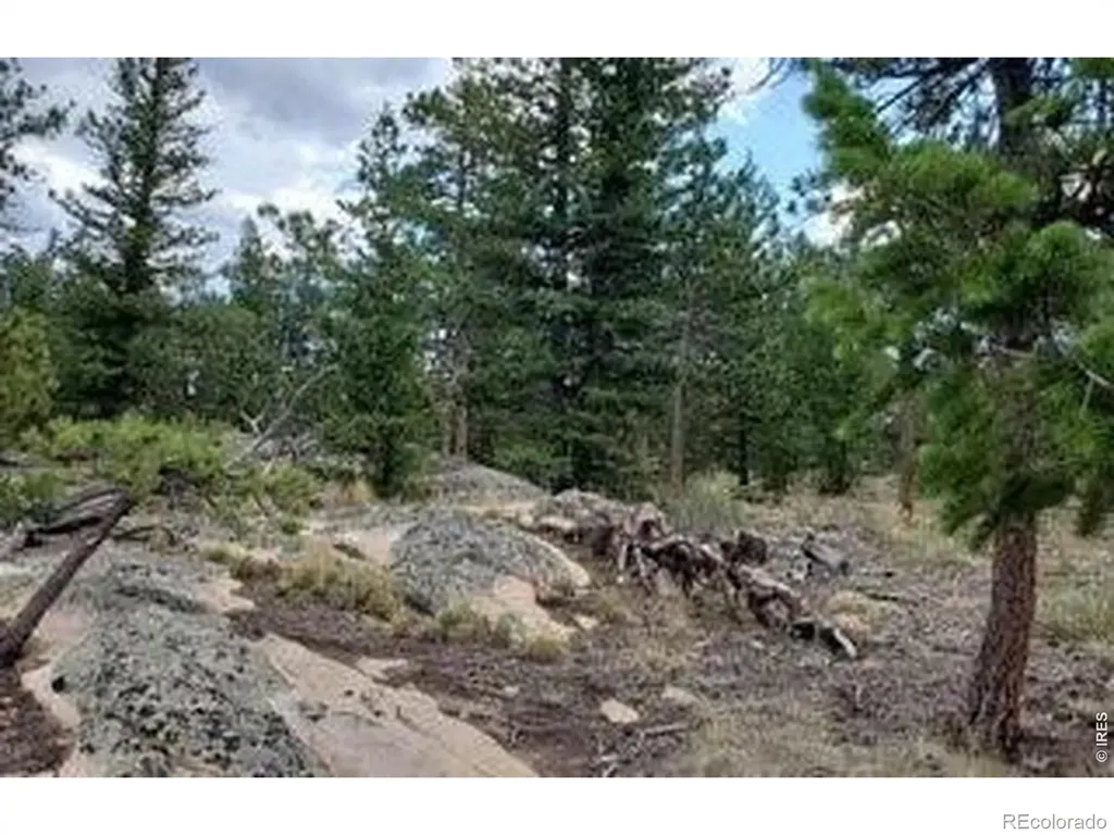 3031 Lake Arapahoe Court Red Feather Lakes CO 80545