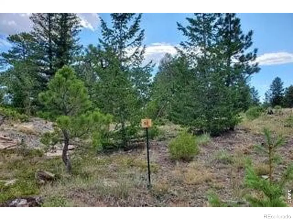 3031 Lake Arapahoe Court Red Feather Lakes CO 80545