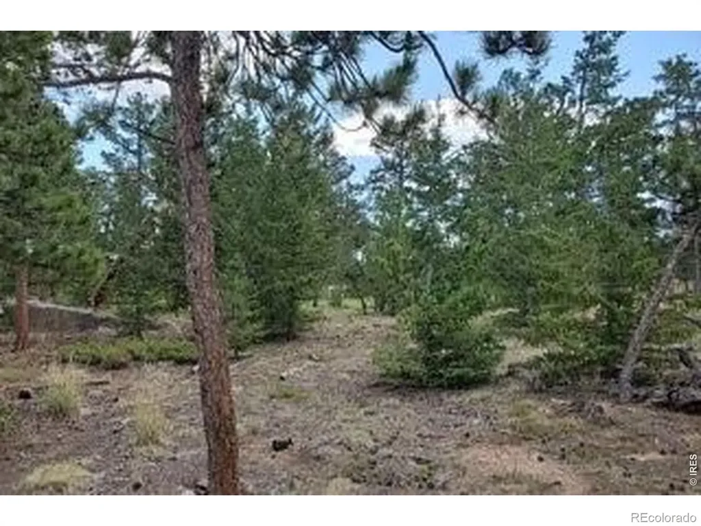 3031 Lake Arapahoe Court Red Feather Lakes CO 80545