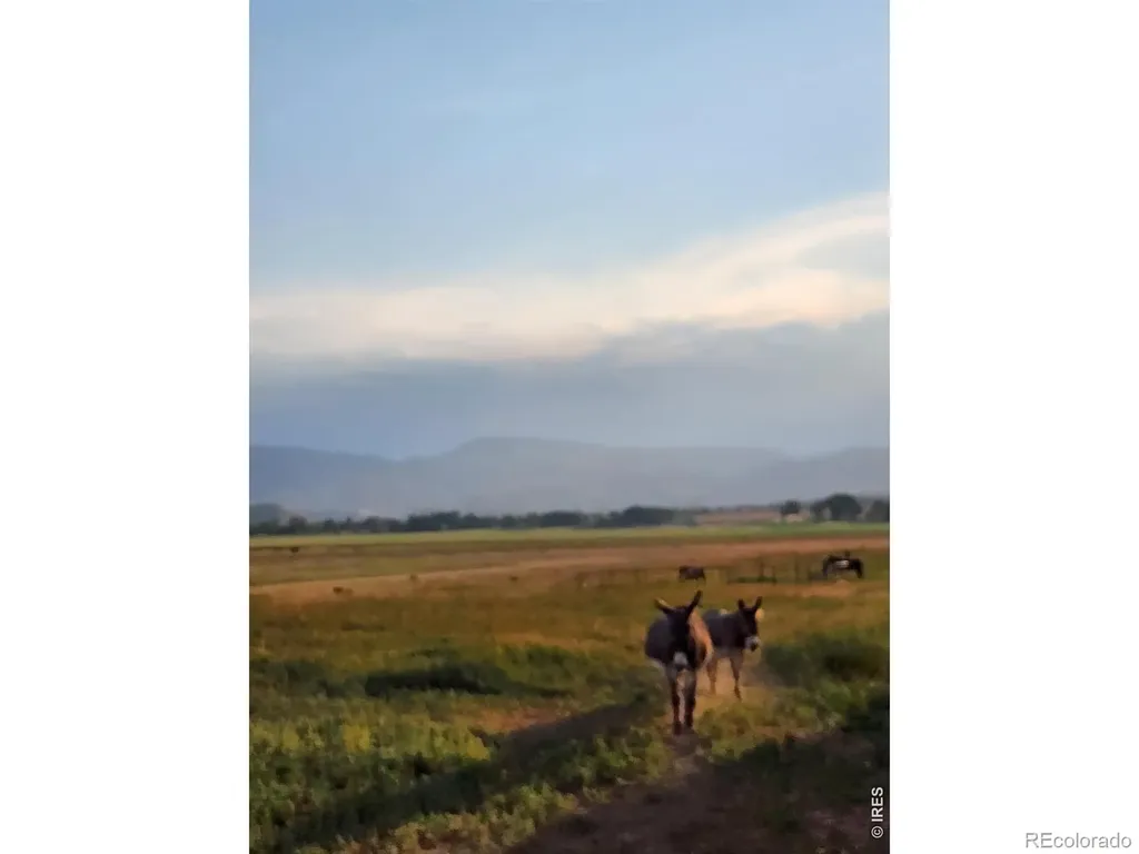 3631 N County Road 19 Fort Collins CO 80524