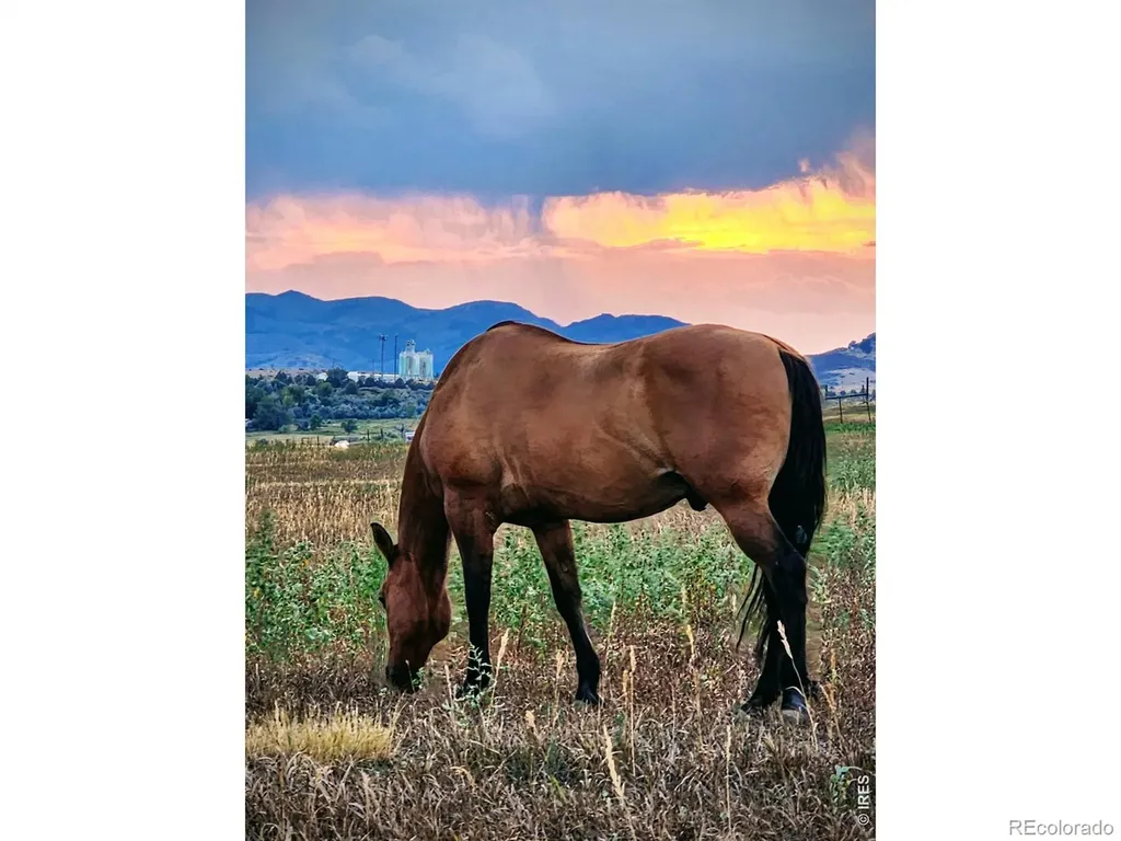 3631 N County Road 19 Fort Collins CO 80524