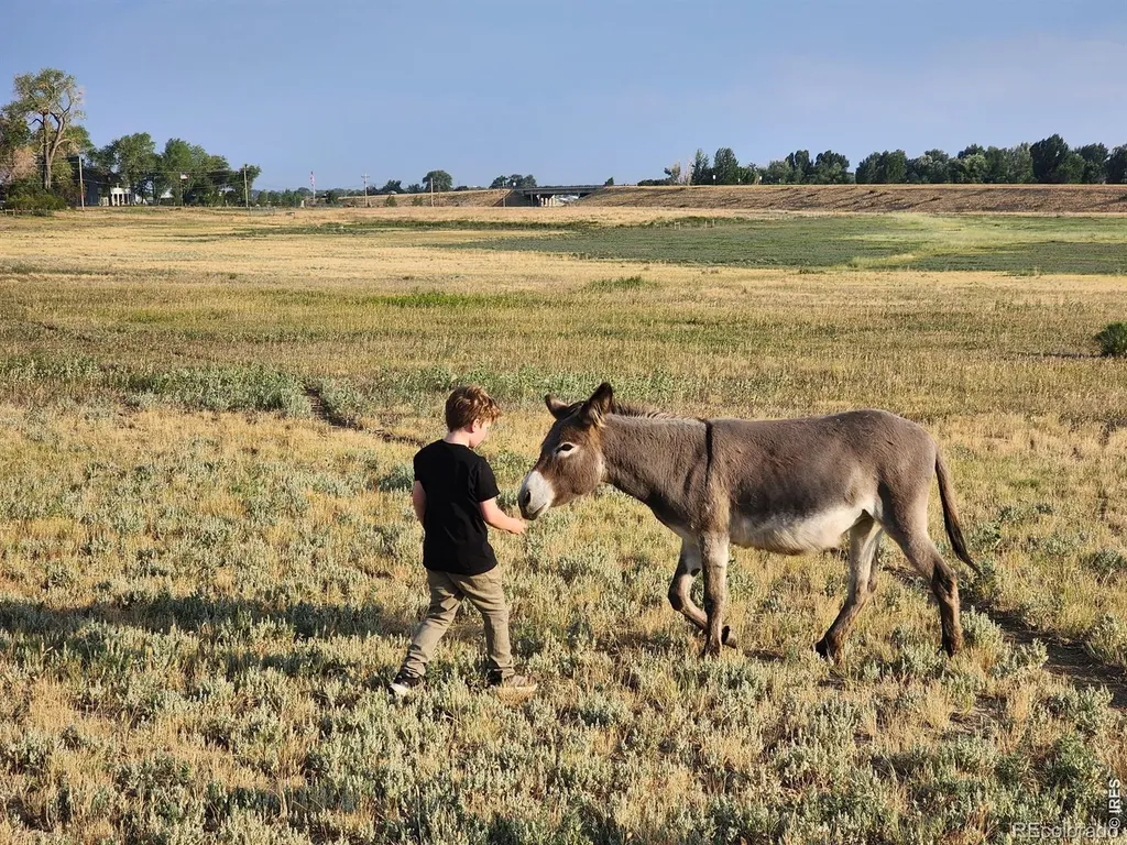3631 N County Road 19 Fort Collins CO 80524