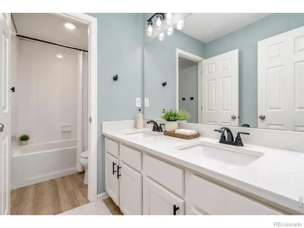 5259 Odessa Lake Street Timnath CO 80547
