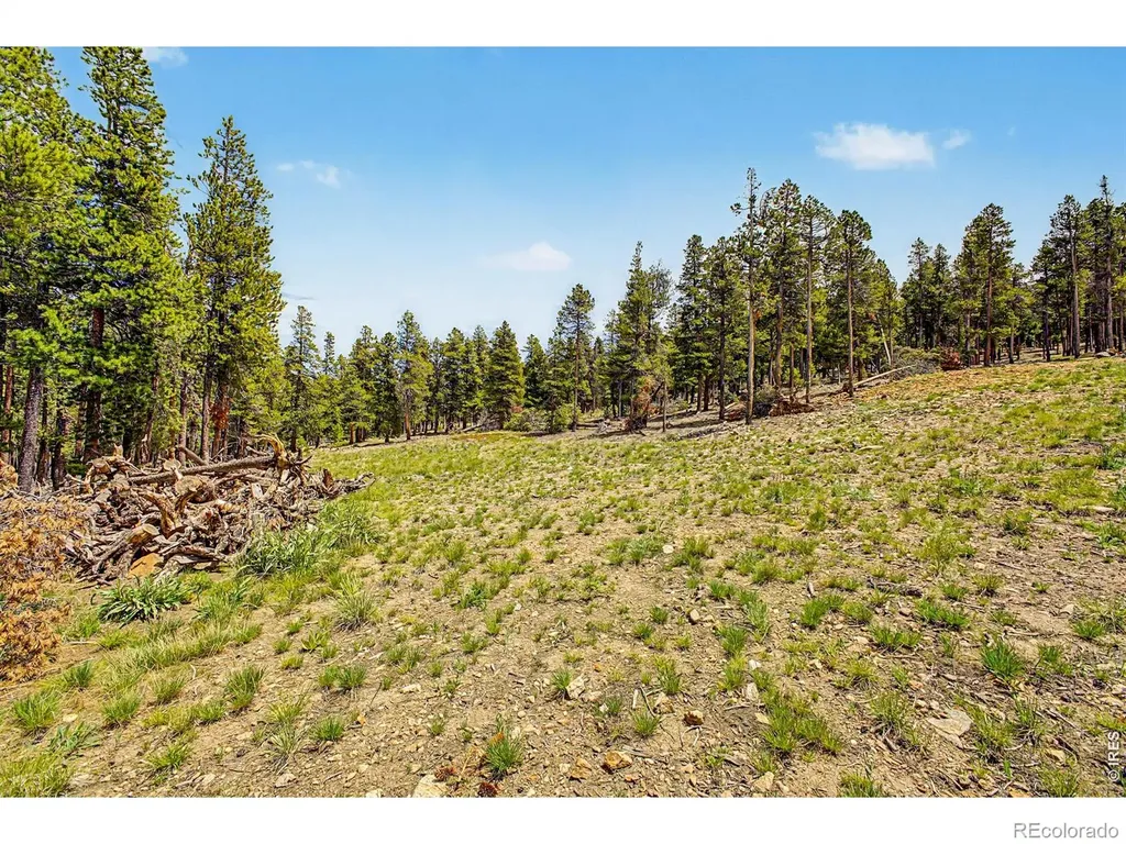 52 Meadowlake Drive Black Hawk CO 80422