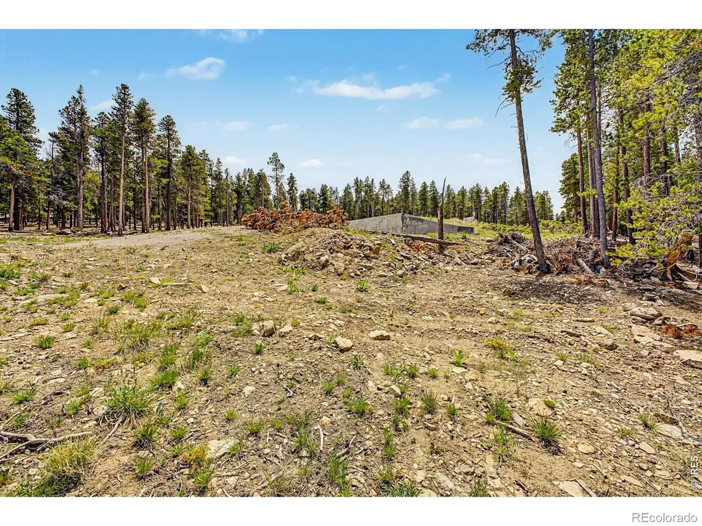 52 Meadowlake Drive Black Hawk CO 80422