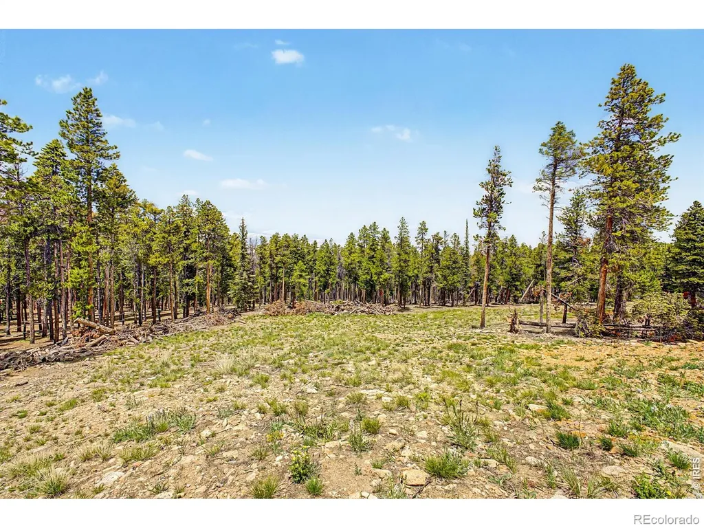 52 Meadowlake Drive Black Hawk CO 80422