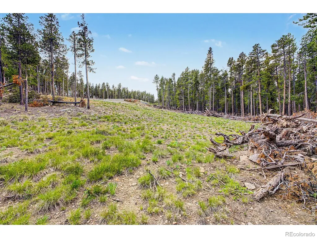 52 Meadowlake Drive Black Hawk CO 80422