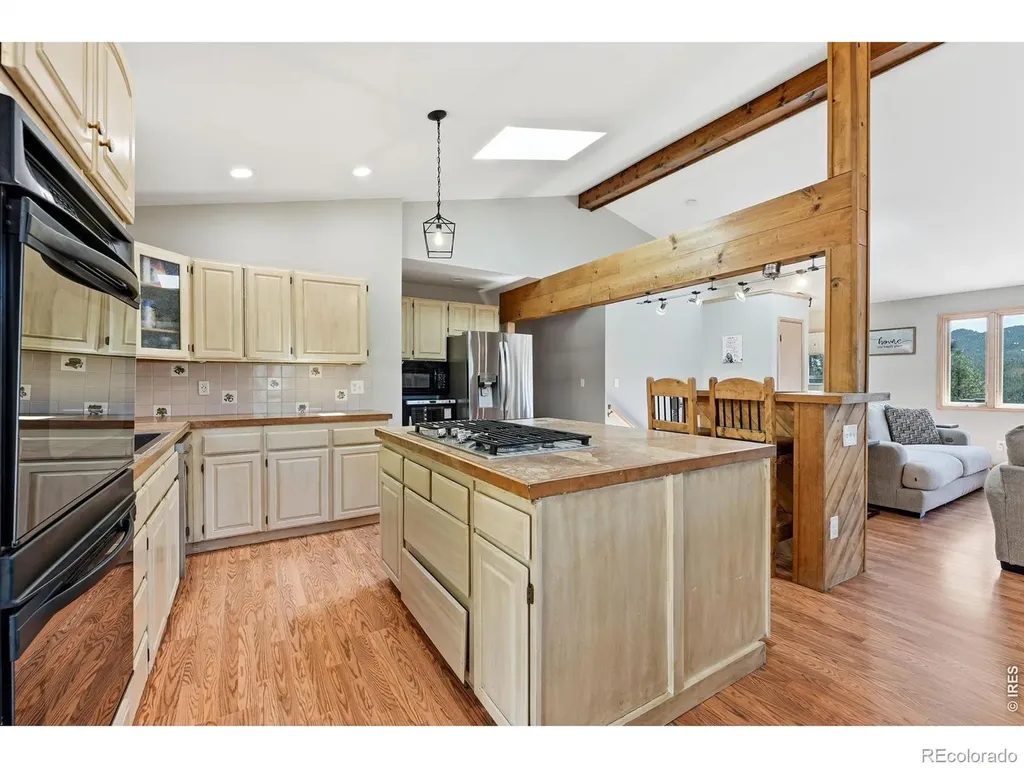 16687 Ouray Road W Pine CO 80470