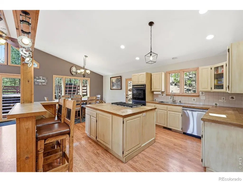 16687 Ouray Road W Pine CO 80470