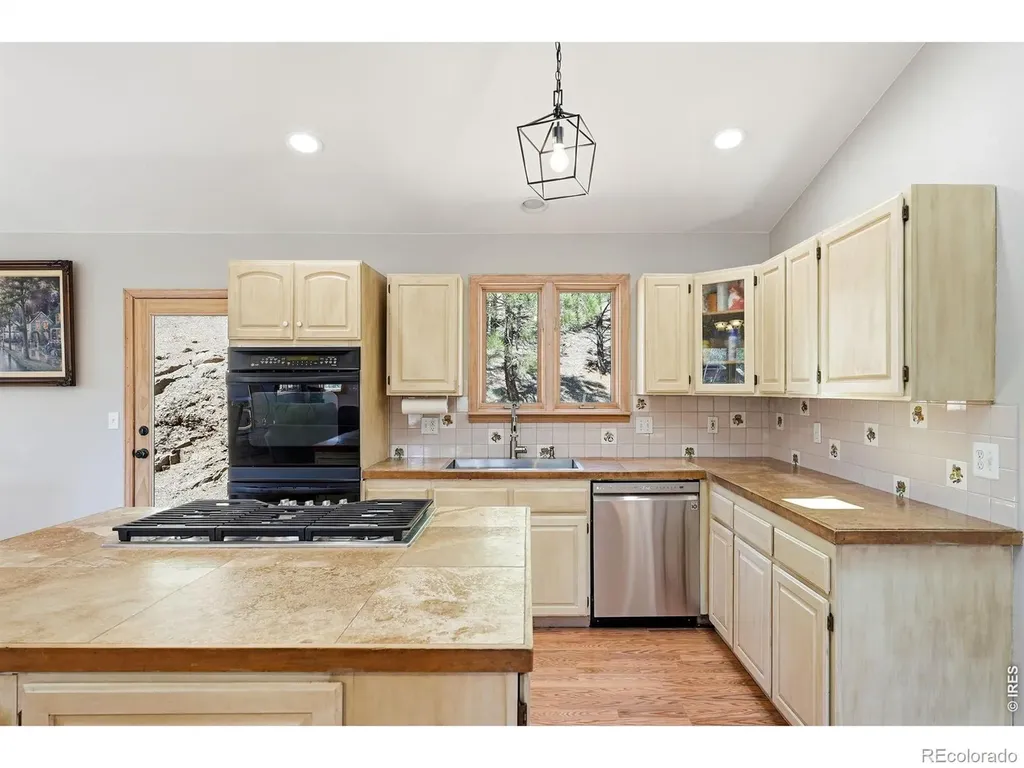 16687 Ouray Road W Pine CO 80470