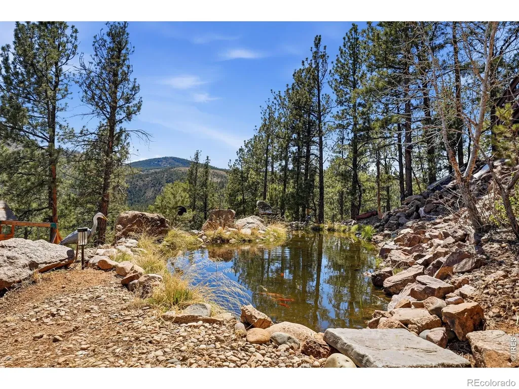16687 Ouray Road W Pine CO 80470